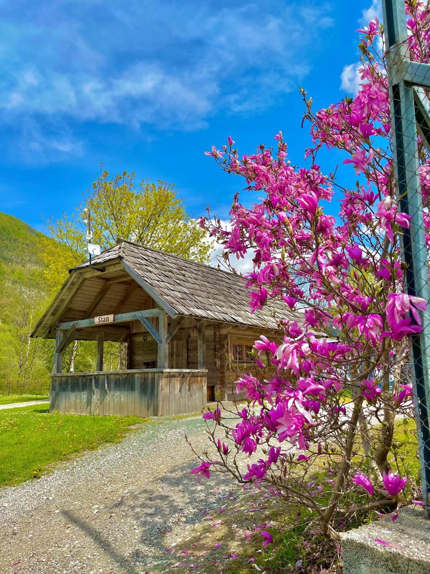 Camping Danica Cottage Stan Бохінь Екстер'єр фото